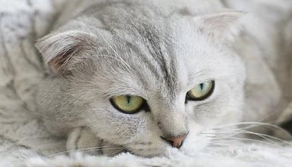 hth：把日常过成仪式的品牌之旅